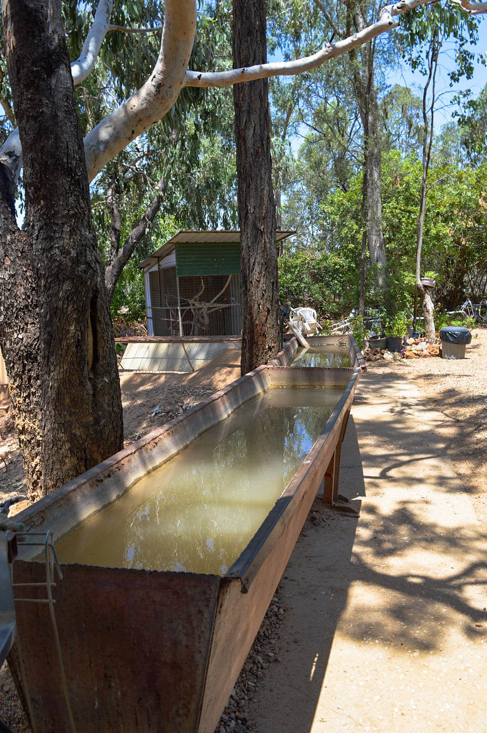Shaded outdoor fossicking wash area with sieving stations and surrounding trees at Pat’s Gems.