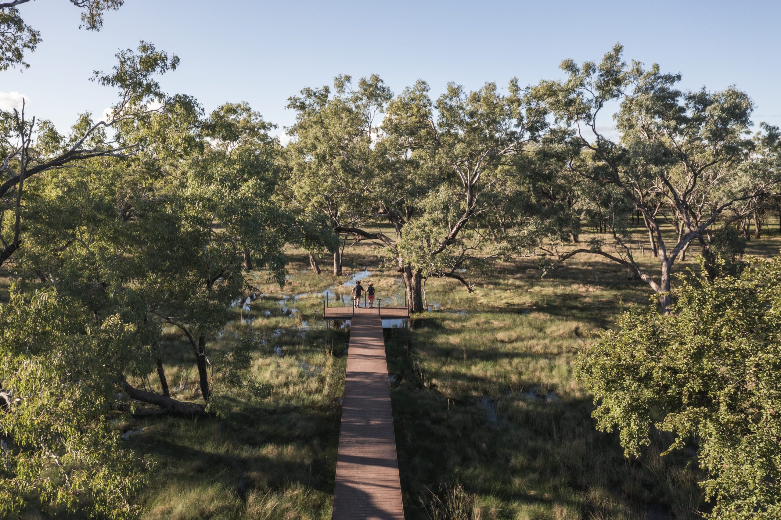 Sapphire Wetland Reserve in the Queensland Gemfields